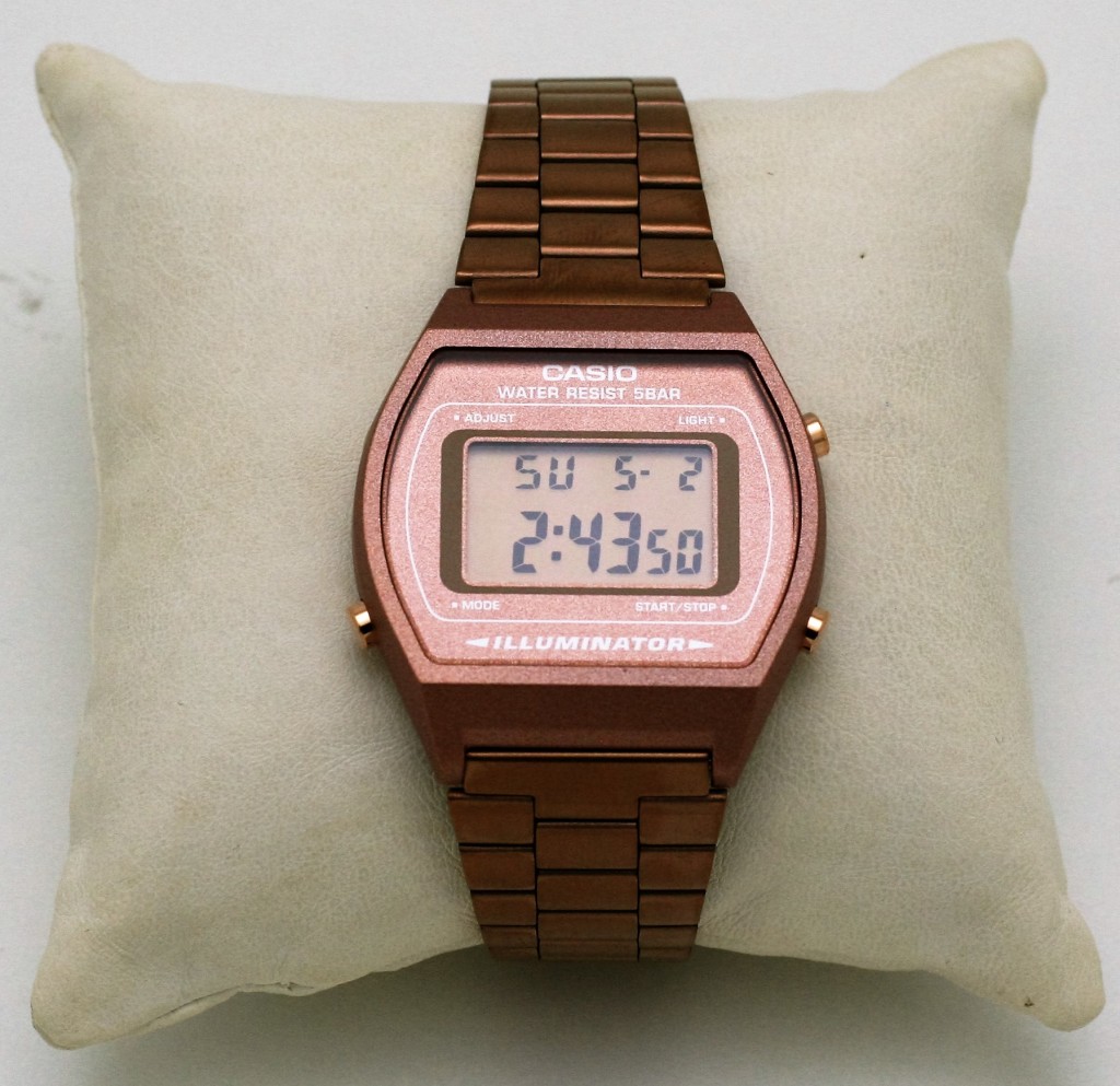 CASIO-CIACCI-01